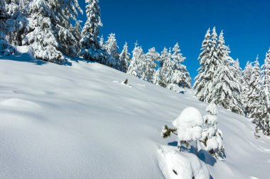 Bulgaristan 'ın Sofya Şehir Bölgesi, Vitosha Dağı' nın İnanılmaz Kış manzarası