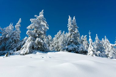 Bulgaristan 'ın Sofya Şehir Bölgesi, Vitosha Dağı' nın İnanılmaz Kış manzarası