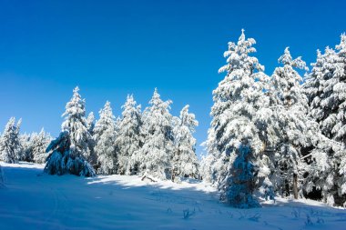 Bulgaristan 'ın Sofya Şehir Bölgesi, Vitosha Dağı' nın İnanılmaz Kış manzarası