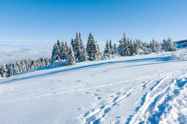Bulgaristan 'ın Sofya Şehir Bölgesi, Vitosha Dağı' nın İnanılmaz Kış manzarası