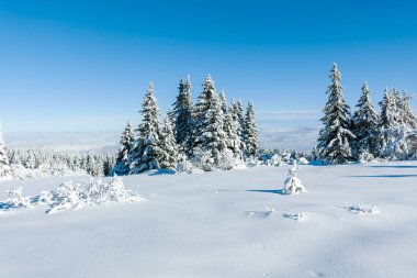 Bulgaristan 'ın Sofya Şehir Bölgesi, Vitosha Dağı' nın İnanılmaz Kış manzarası