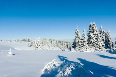 Bulgaristan 'ın Sofya Şehir Bölgesi, Vitosha Dağı' nın İnanılmaz Kış manzarası