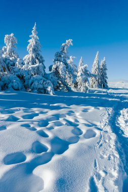 Bulgaristan 'ın Sofya Şehir Bölgesi, Vitosha Dağı' nın İnanılmaz Kış manzarası