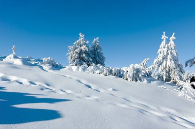 Bulgaristan 'ın Sofya Şehir Bölgesi, Vitosha Dağı' nın İnanılmaz Kış manzarası