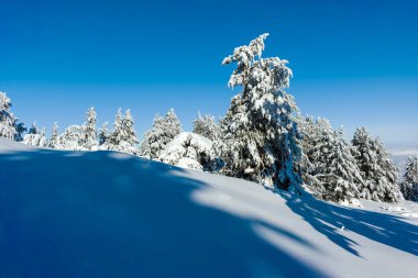 Bulgaristan 'ın Sofya Şehir Bölgesi, Vitosha Dağı' nın İnanılmaz Kış manzarası