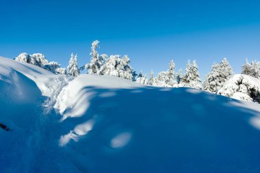 Bulgaristan 'ın Sofya Şehir Bölgesi, Vitosha Dağı' nın İnanılmaz Kış manzarası