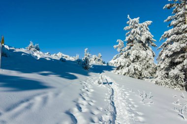 Bulgaristan 'ın Sofya Şehir Bölgesi, Vitosha Dağı' nın İnanılmaz Kış manzarası