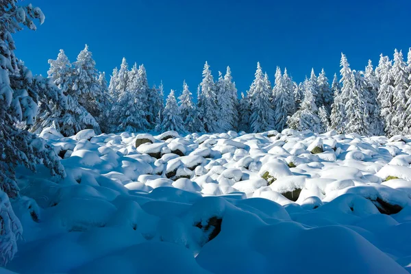 Erstaunliche Winterlandschaft Des Vitosha Gebirges Stadtgebiet Sofia Bulgarien — Stockfoto