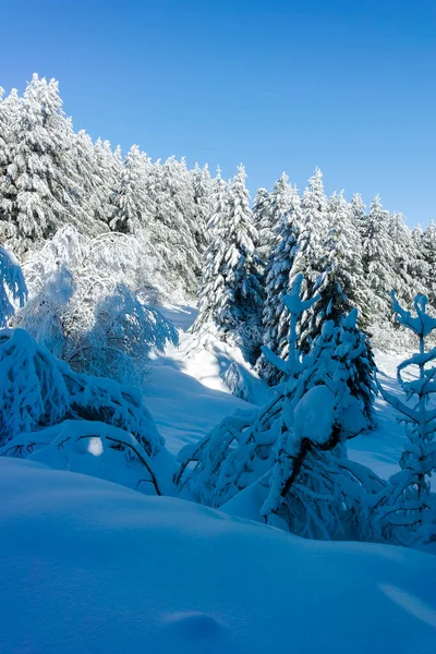 stock image Amazing Winter landscape of Vitosha Mountain, Sofia City Region, Bulgaria