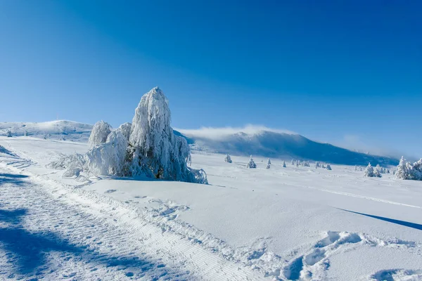 Niesamowity Zimowy Krajobraz Góry Vitosha Obwód Sofijski Bułgaria — Zdjęcie stockowe