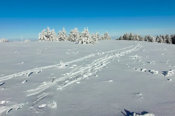 Stock image Amazing Winter landscape of Vitosha Mountain, Sofia City Region, Bulgaria