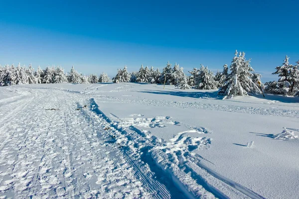 Bulgaristan 'ın Sofya Şehir Bölgesi, Vitosha Dağı' nın İnanılmaz Kış manzarası