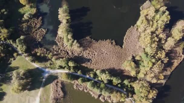 Αεροφωτογραφία Φθινοπώρου Της Λίμνης Pancharevo Περιφέρεια Πόλης Της Σόφιας Βουλγαρία — Αρχείο Βίντεο