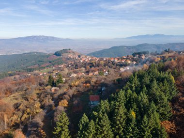 Bulgaristan 'ın Kyustendil bölgesindeki Bogoslov köyü yakınlarındaki Eski Sequoia ormanlarının hava manzarası