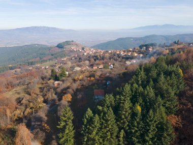 Bulgaristan 'ın Kyustendil bölgesindeki Bogoslov köyü yakınlarındaki Eski Sequoia ormanlarının hava manzarası