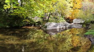 Bulgaristan 'ın Vitosha Dağı' nın İnanılmaz Sonbaharı