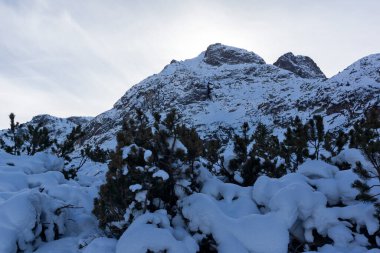 Bulgaristan 'ın Malyovitsa zirvesi yakınlarındaki Rila Dağı' nın şaşırtıcı kış manzarası