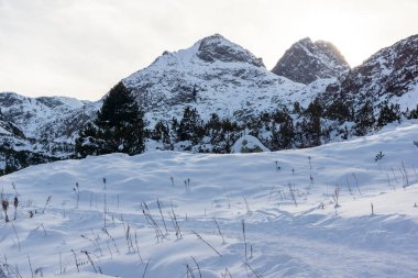 Bulgaristan 'ın Malyovitsa zirvesi yakınlarındaki Rila Dağı' nın şaşırtıcı kış manzarası