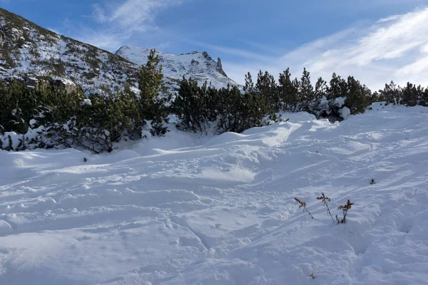 Erstaunliche Winterlandschaft Des Rila Gebirges Der Nähe Des Maljovitsa Gipfels — Stockfoto
