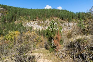 Nishava nehir boğazının sonbahar manzarası, Balkan Dağları, Bulgaristan