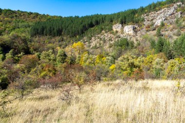 Nishava nehir boğazının sonbahar manzarası, Balkan Dağları, Bulgaristan
