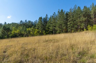 Nishava nehir boğazının sonbahar manzarası, Balkan Dağları, Bulgaristan
