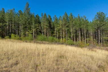 Nishava nehir boğazının sonbahar manzarası, Balkan Dağları, Bulgaristan