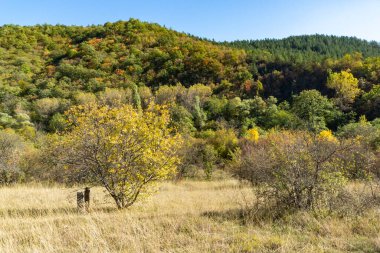 Nishava nehir boğazının sonbahar manzarası, Balkan Dağları, Bulgaristan