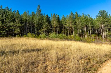 Nishava nehir boğazının sonbahar manzarası, Balkan Dağları, Bulgaristan