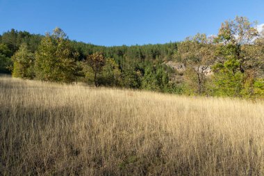 Nishava nehir boğazının sonbahar manzarası, Balkan Dağları, Bulgaristan
