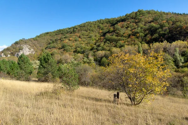 Осенний Вид Ущелья Реки Нишава Балканские Горы Болгария — стоковое фото