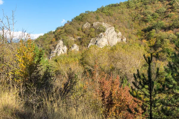 Осінній Вид Ущелину Річки Нішава Балканські Гори Болгарія — стокове фото