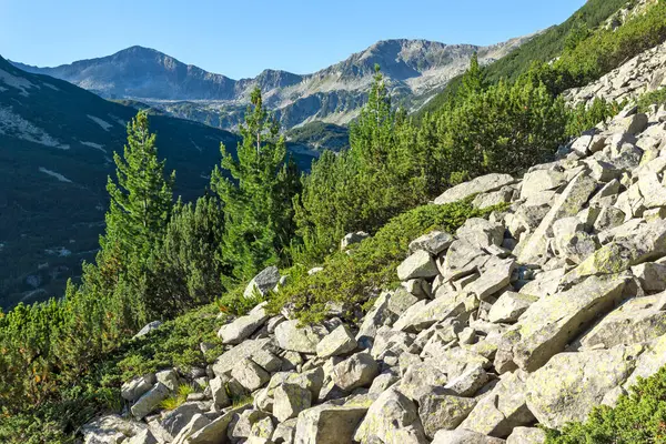 Bulgaristan 'ın Vihren Tepesi yakınlarındaki Pirin Dağı' nın şaşırtıcı yaz manzarası