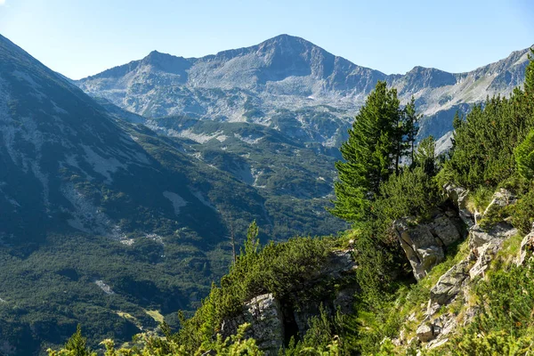 stock image Amazing Summer view of Pirin Mountain near Vihren Peak, Bulgaria