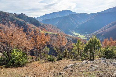 Bulgaristan 'ın Borovitsa Nehri yakınlarındaki Rodop Dağlarının inanılmaz manzarası