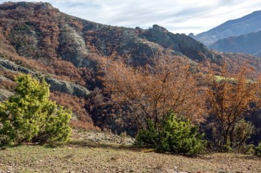 Bulgaristan 'ın Borovitsa Nehri yakınlarındaki Rodop Dağlarının inanılmaz manzarası