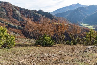 Bulgaristan 'ın Borovitsa Nehri yakınlarındaki Rodop Dağlarının inanılmaz manzarası