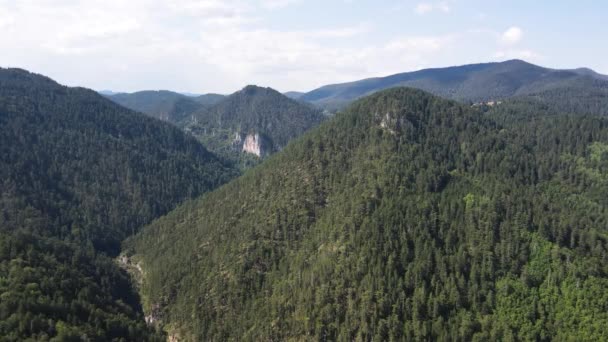 Aerial Summer View Rhodope Mountains Borino Smolyan Region Bulgaria — Vídeos de Stock