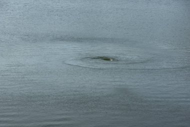 Studen Kladenets Rezervuarı, Kardzhali Bölgesi, Bulgaristan