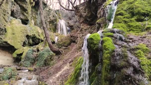 Bachkovo Vattenfall Kaskad Rhodopes Mountain Plovdiv Regionen Bulgarien — Stockvideo