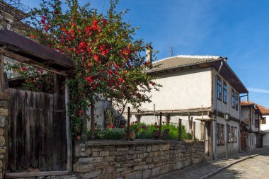TRYAVNA, BULGARIA - 1 Mayıs 2021: Bulgaristan 'ın eski Tryavna kentindeki Tipik sokak ve Ninetenth Century Evleri