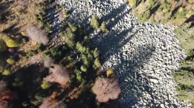 Bulgaristan 'ın Vitosha Dağı' nın İnanılmaz Sonbaharı