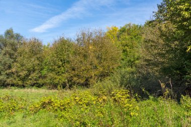 Bulgaristan 'ın Lovech Bölgesi' nin Aglen köyü yakınlarından geçen Vit Nehri 'nin şaşırtıcı manzarası