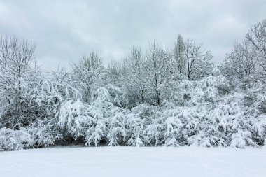 Bulgaristan 'ın Sofya kentindeki South Park' ın şaşırtıcı kış manzarası