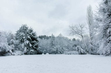 Bulgaristan 'ın Sofya kentindeki South Park' ın şaşırtıcı kış manzarası