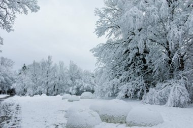 Bulgaristan 'ın Sofya kentindeki South Park' ın şaşırtıcı kış manzarası