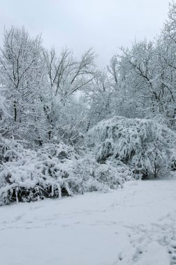 Bulgaristan 'ın Sofya kentindeki South Park' ın şaşırtıcı kış manzarası
