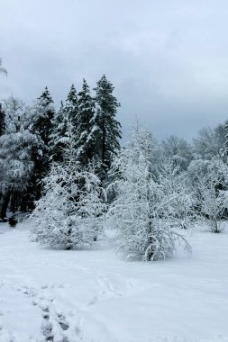 Bulgaristan 'ın Sofya kentindeki South Park' ın şaşırtıcı kış manzarası