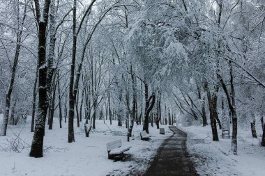 Bulgaristan 'ın Sofya kentindeki South Park' ın şaşırtıcı kış manzarası