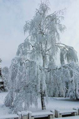 Bulgaristan 'ın Sofya kentindeki South Park' ın şaşırtıcı kış manzarası